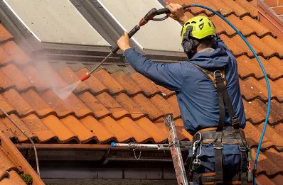 Démoussage et hydrofuge de toiture à Ambronay